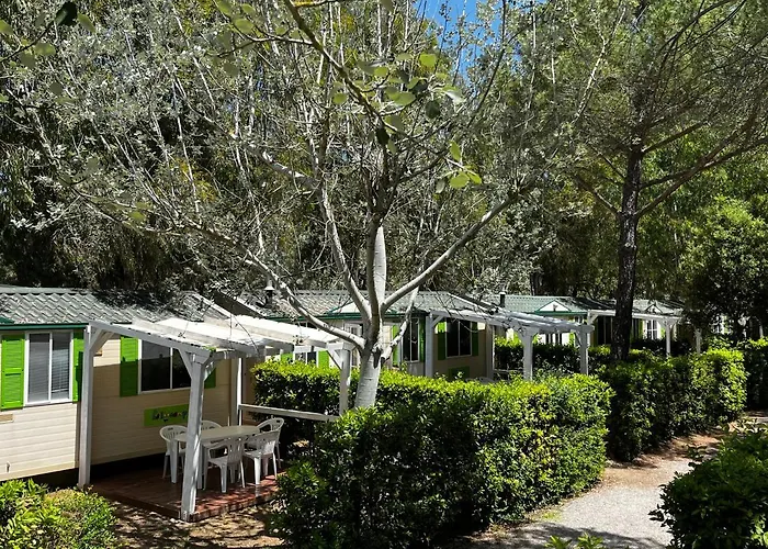 Campeggio: Helloocamp